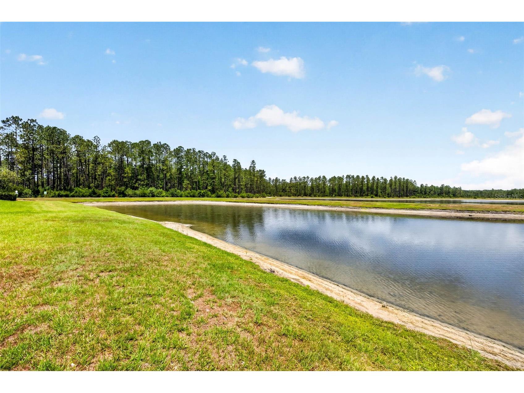 16181 November Rain Court Land O Lakes FL 34638 TB8506876 image60
