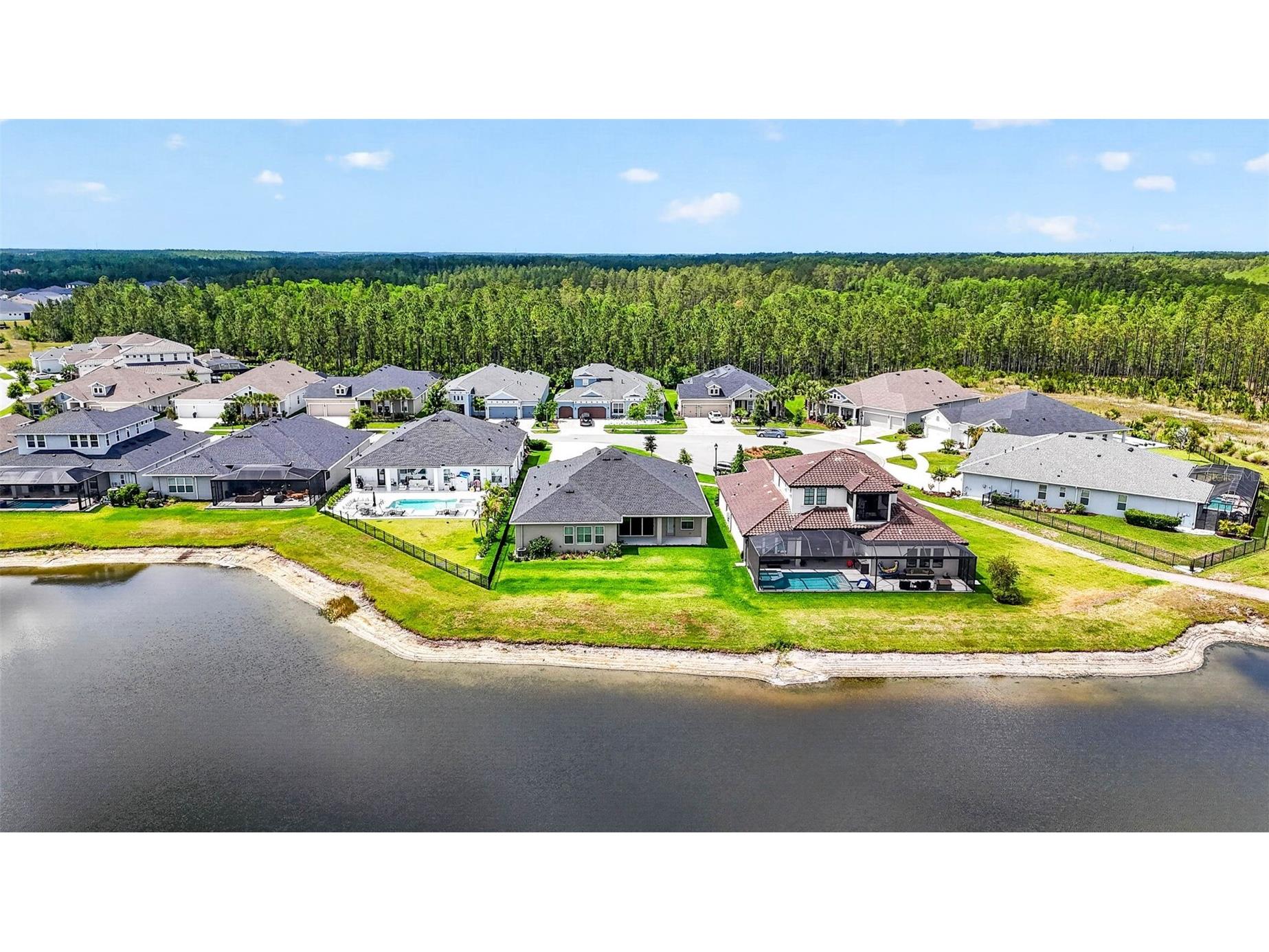 16181 November Rain Court Land O Lakes FL 34638 TB8506876 image70