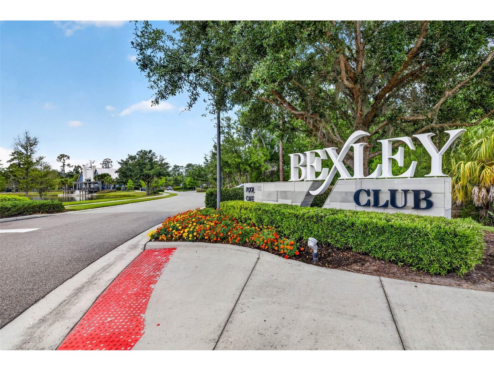 16181 November Rain Court Land O Lakes FL 34638 TB8506876 image74