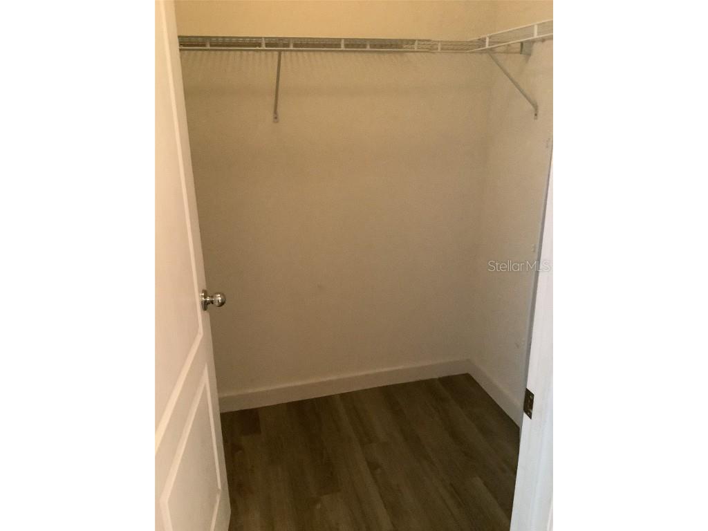 16181 Yelloweyed Drive Clermont FL 34714 O6355325 image19