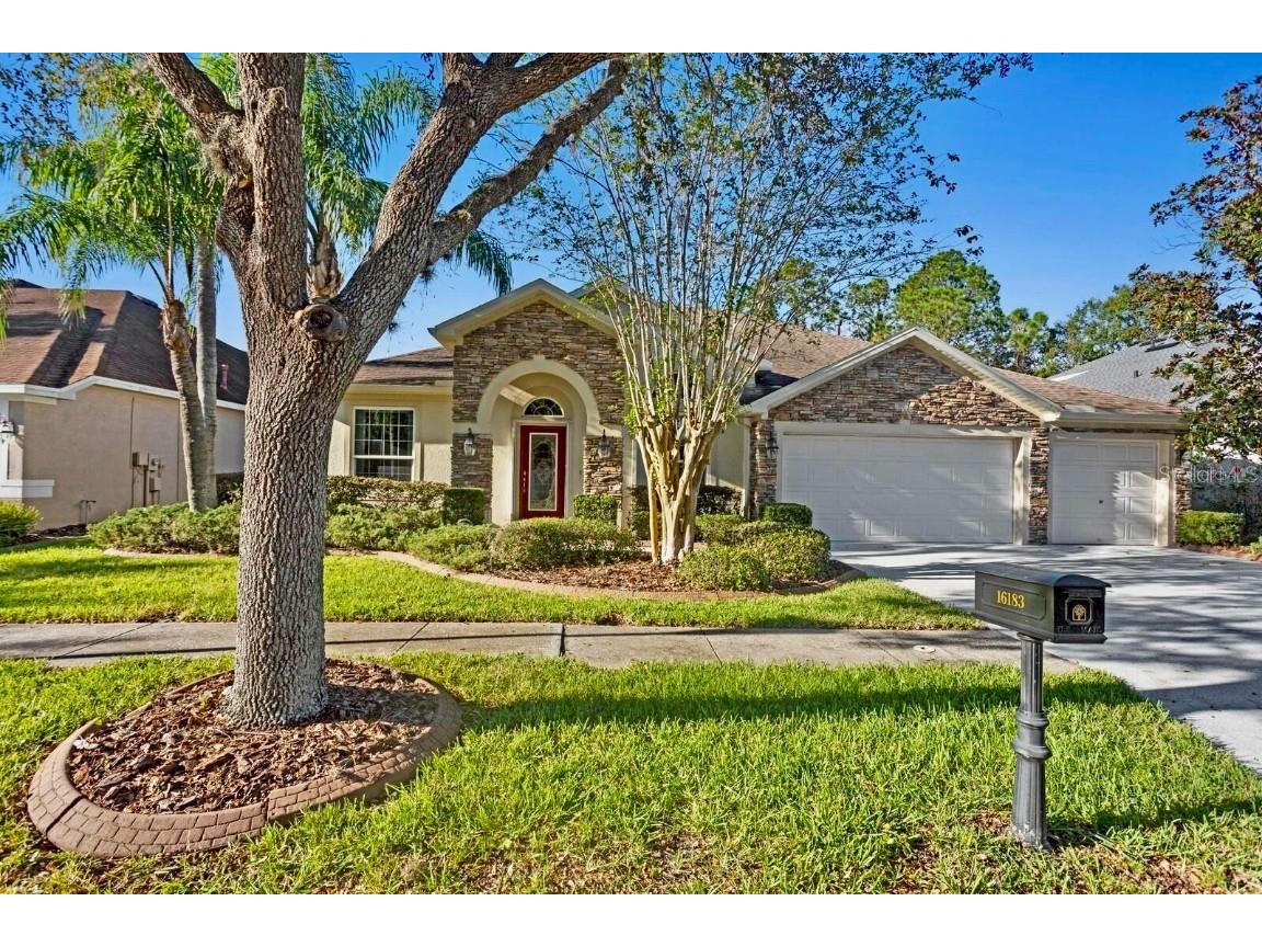 16183 Colchester Palms Drive Tampa FL 33647 TB8318957 image1