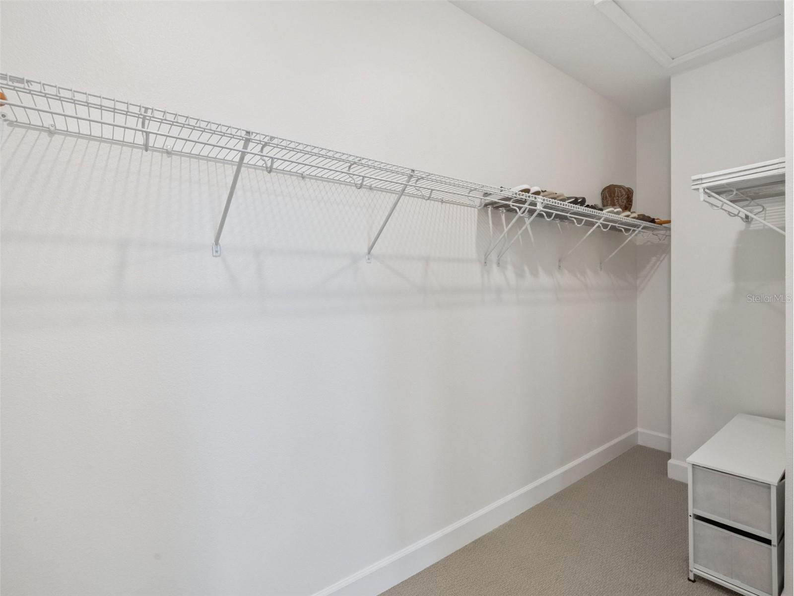 16186 Honey Harvest Street Winter Garden FL 34787 O6383728 image27