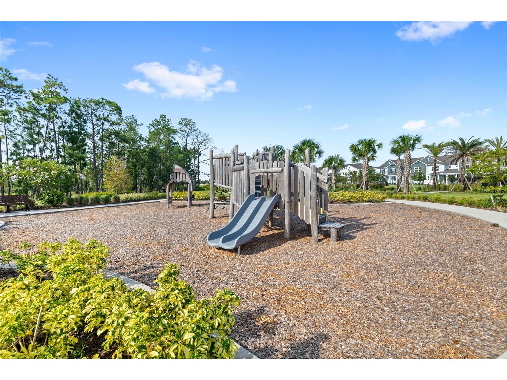 16186 Honey Harvest Street Winter Garden FL 34787 O6411495 image53