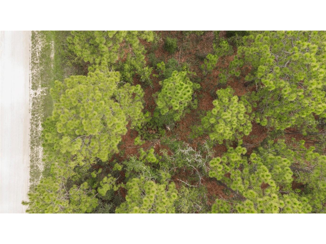 16186 Medrick Road Brooksville FL 34614 U8250128 image1