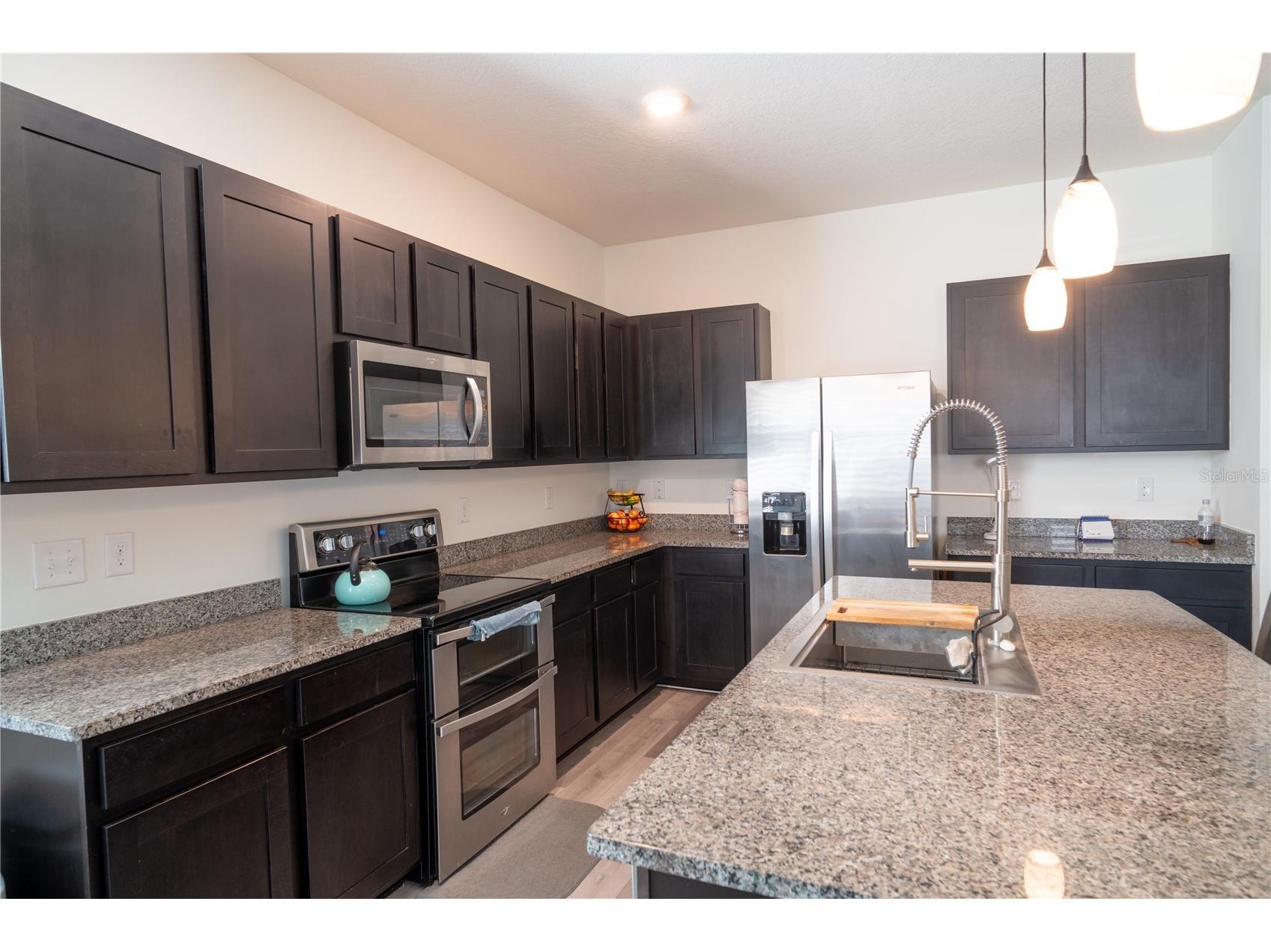 16189 Glowing Grove Avenue Odessa FL 33556 TB8464661 image8