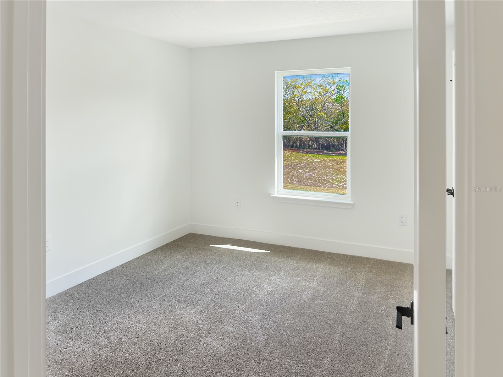 1619 Ann Rose Way Leesburg FL 34748 O6369534 image11