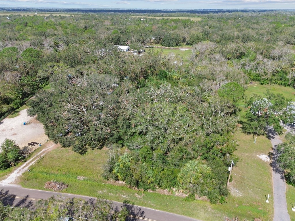 1619 Butch Cassidy Trail Wimauma FL 33598 TB8317785 image3