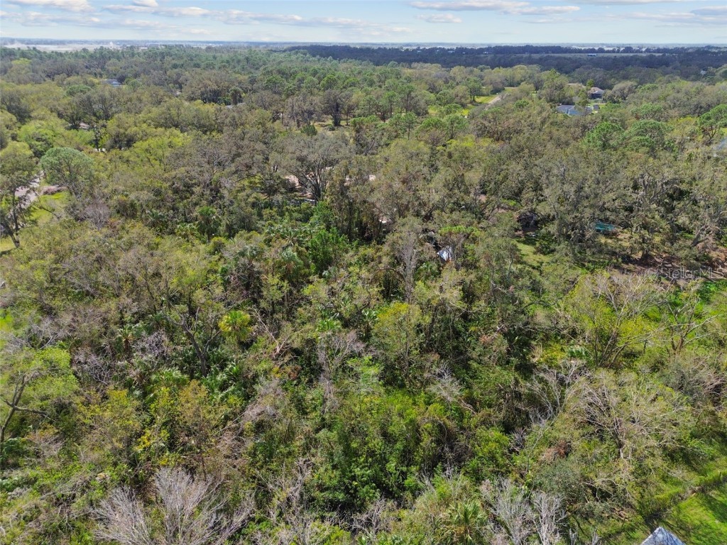 1619 Butch Cassidy Trail Wimauma FL 33598 TB8317785 image31