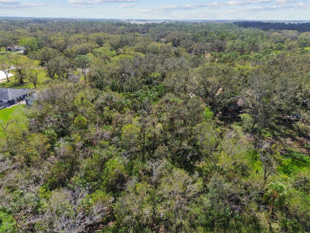 1619 Butch Cassidy Trail Wimauma FL 33598 TB8317785 image32