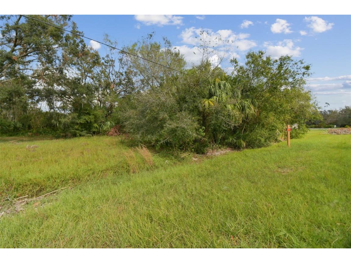 1619 Butch Cassidy Trail Wimauma FL 33598 TB8317785 image37