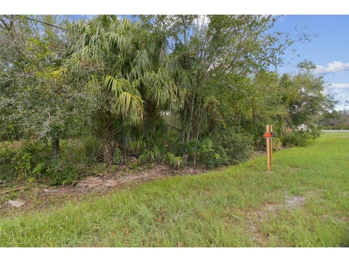 1619 Butch Cassidy Trail Wimauma FL 33598 TB8317785 image38