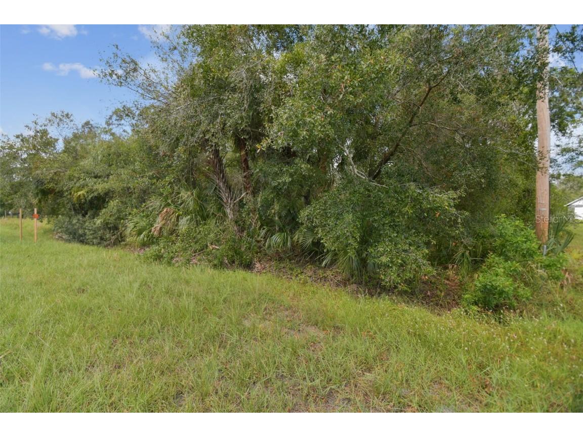1619 Butch Cassidy Trail Wimauma FL 33598 TB8317785 image39
