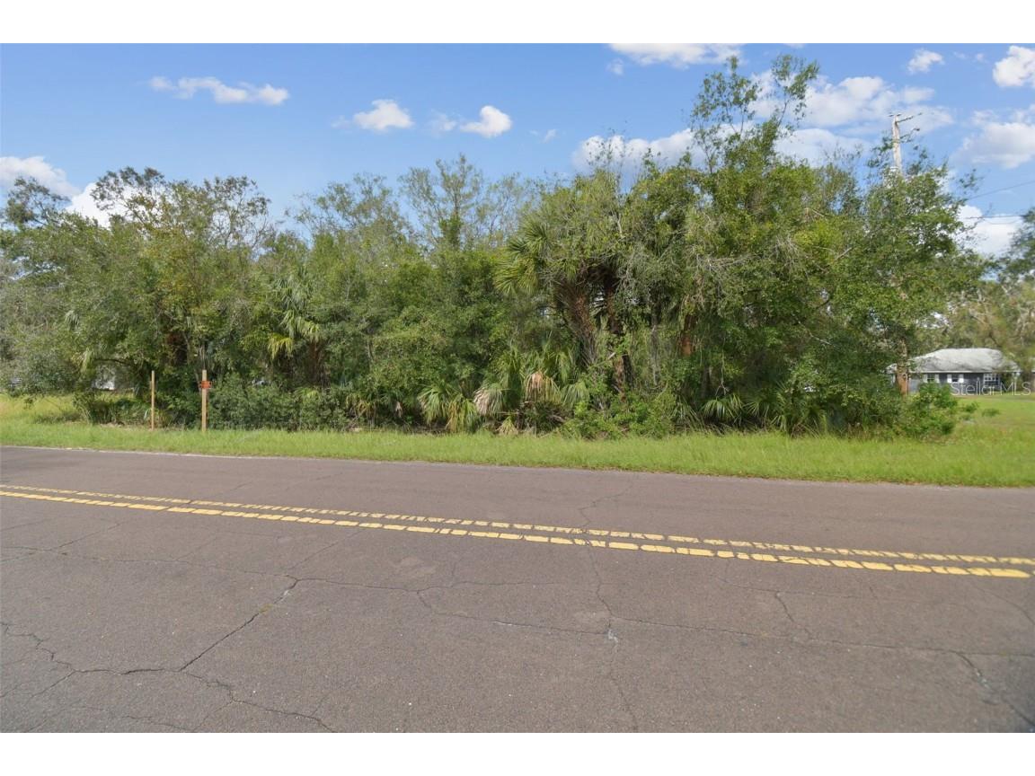 1619 Butch Cassidy Trail Wimauma FL 33598 TB8317785 image40
