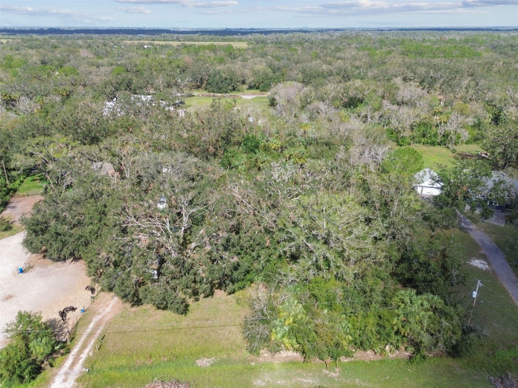 1619 Butch Cassidy Trail Wimauma FL 33598 TB8317785 image6