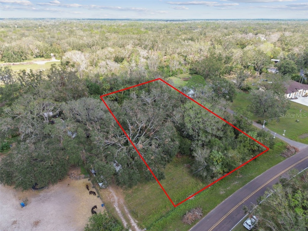 1619 Butch Cassidy Trail Wimauma FL 33598 TB8317785 image8