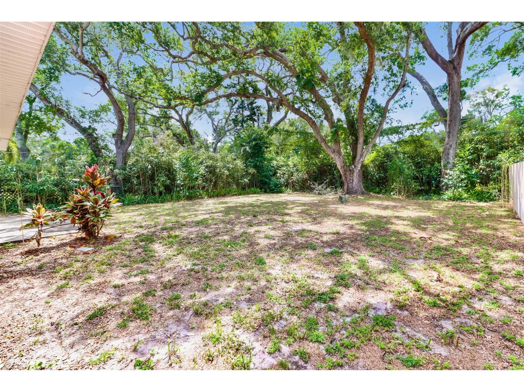 1619 Edna Avenue Largo FL 33770 O6407031 image20