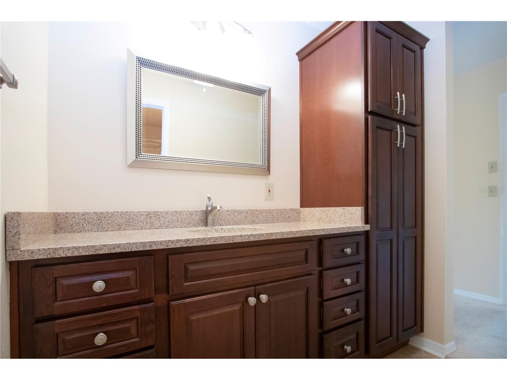 1619 Faxton Drive Sun City Center FL 33573 TB8462323 image43