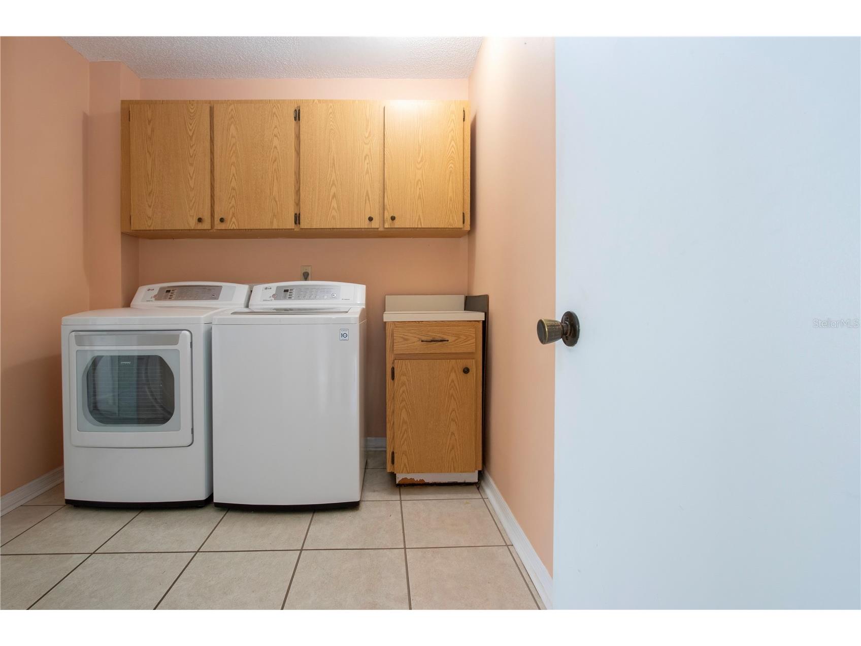 1619 Faxton Drive Sun City Center FL 33573 TB8462323 image55