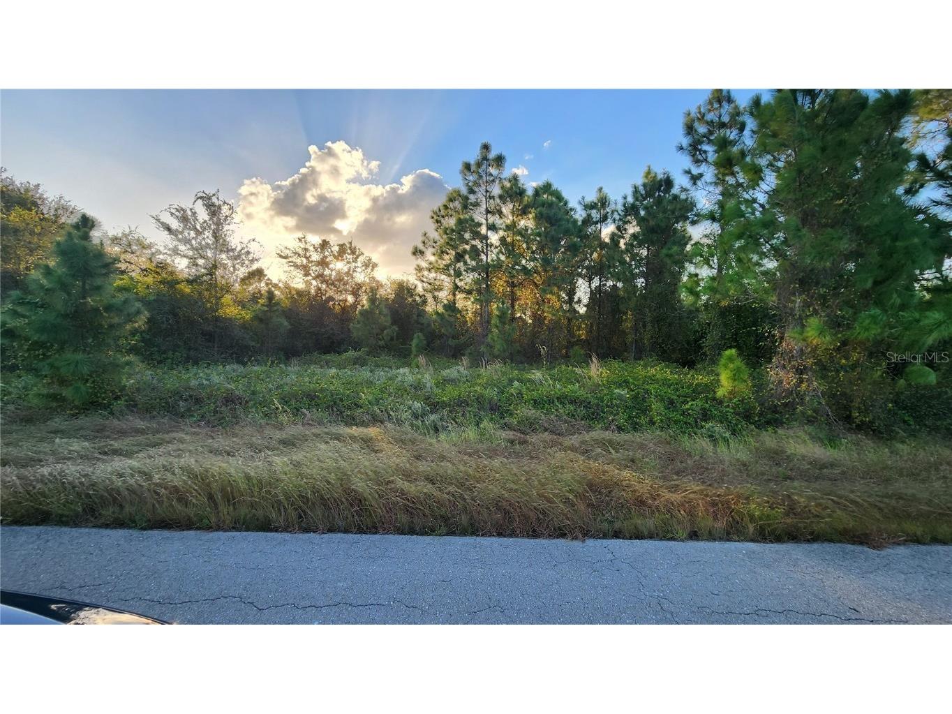 1619 Fitch Avenue Lehigh Acres FL 33972 O6149008 image1