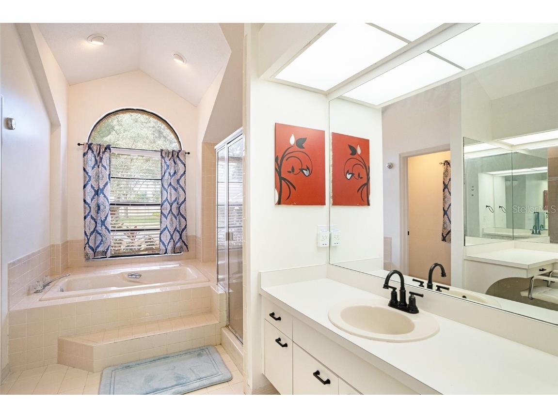 1619 Palace Court Valrico FL 33594 TB8453378 image17