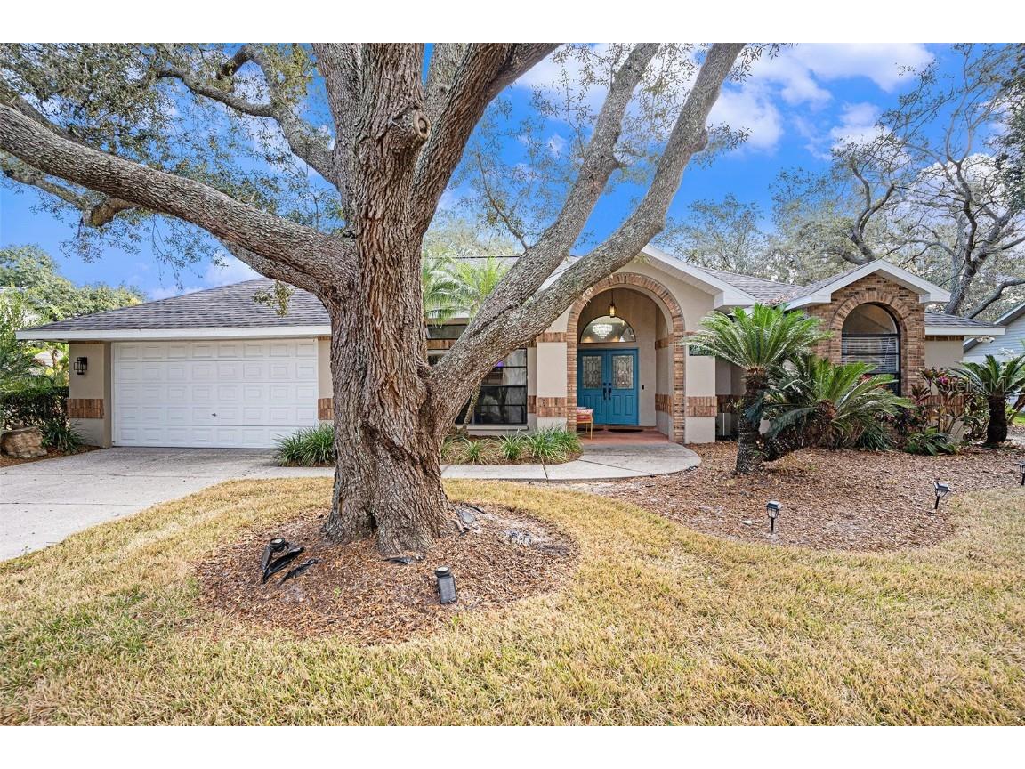 1619 Palace Court Valrico FL 33594 TB8453378 image2