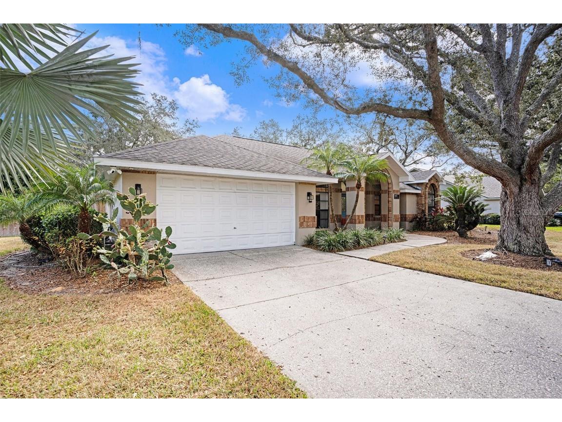 1619 Palace Court Valrico FL 33594 TB8453378 image3