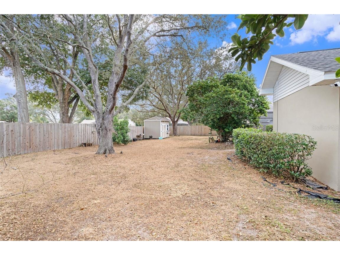 1619 Palace Court Valrico FL 33594 TB8453378 image32