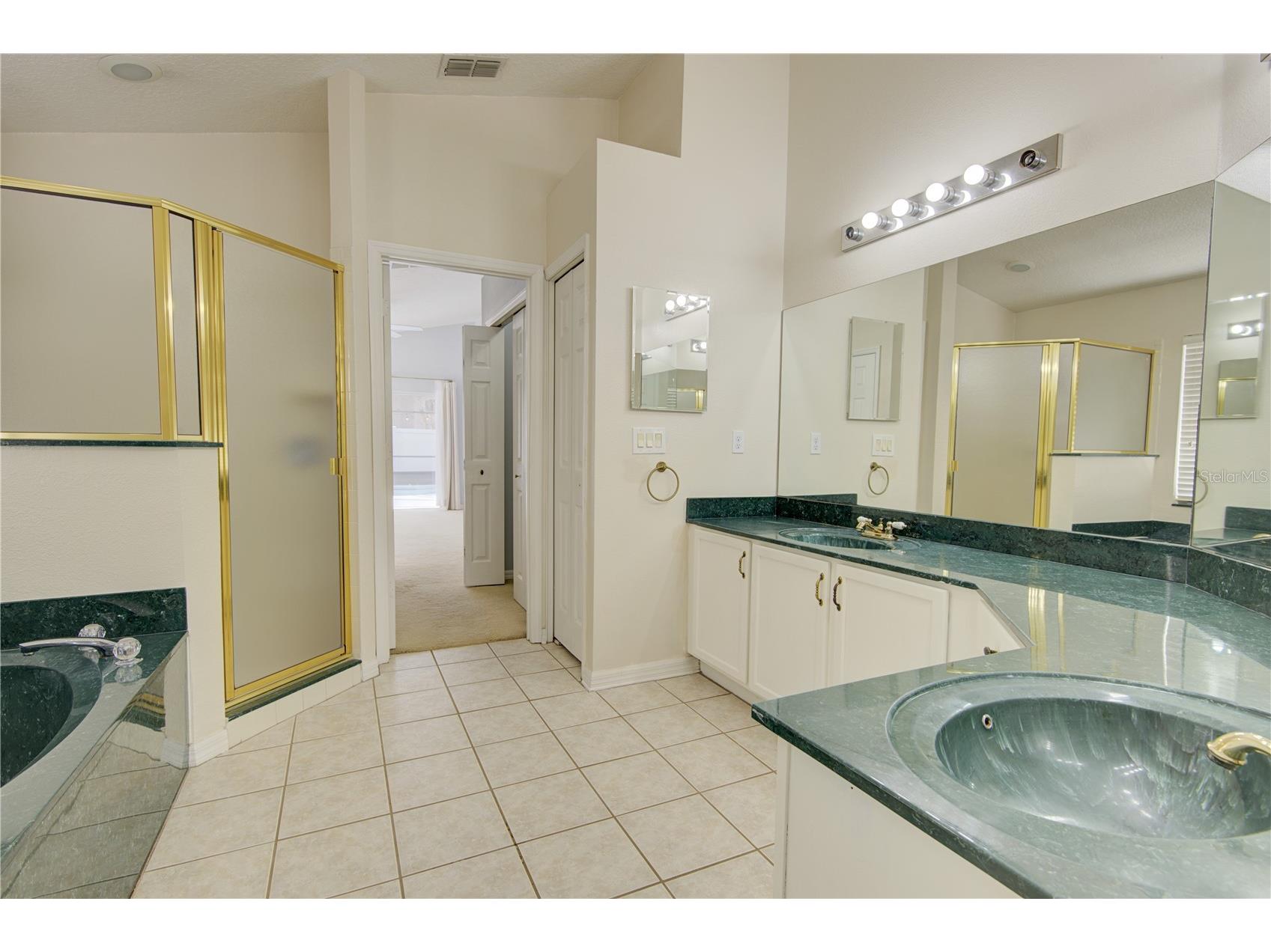 1619 River Birch Avenue Oviedo FL 32765 O6377773 image25