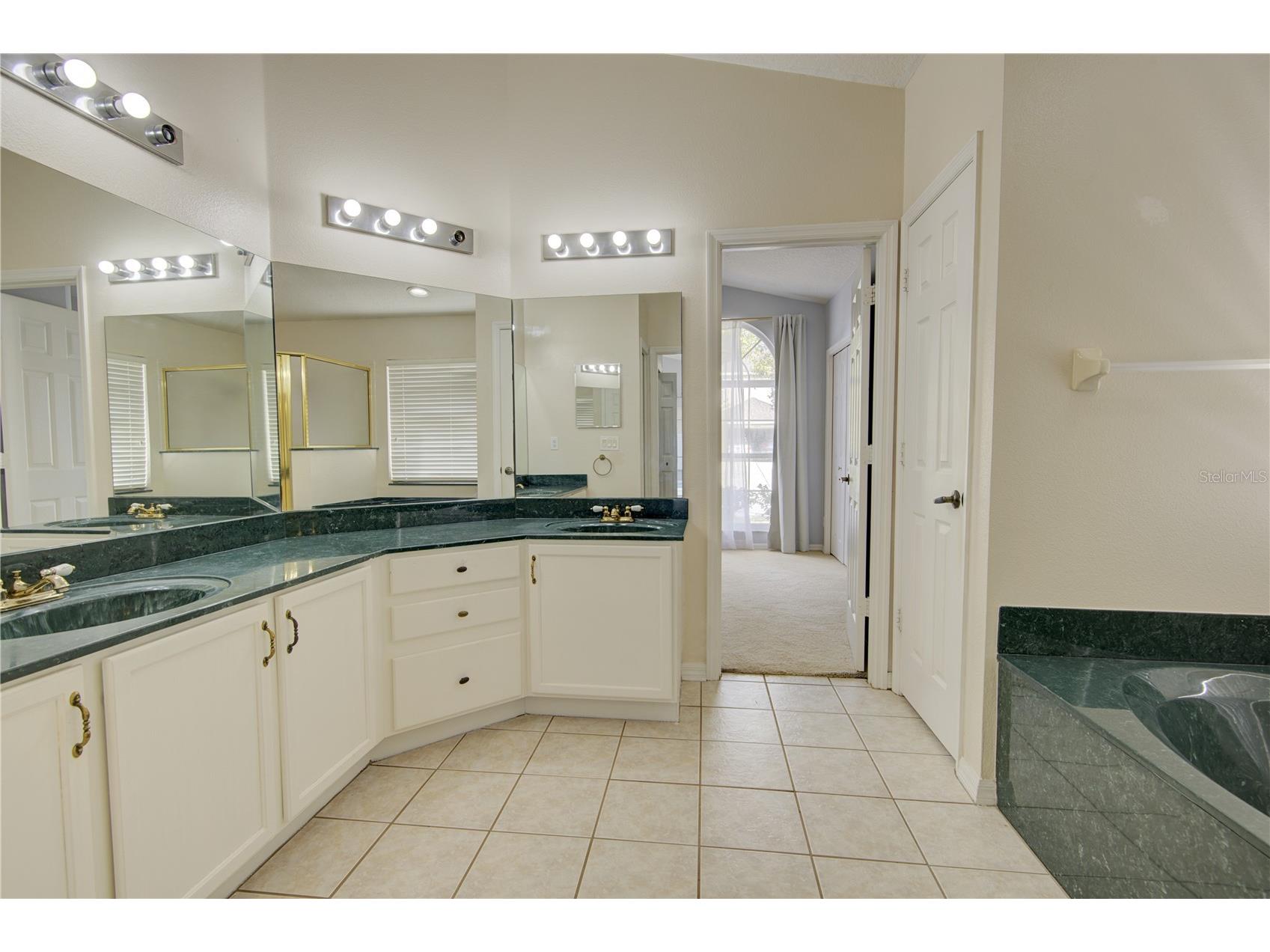 1619 River Birch Avenue Oviedo FL 32765 O6377773 image26