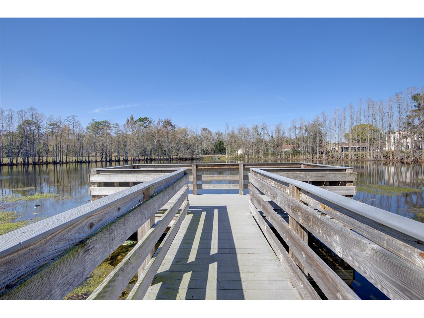 1619 River Birch Avenue Oviedo FL 32765 O6377773 image38