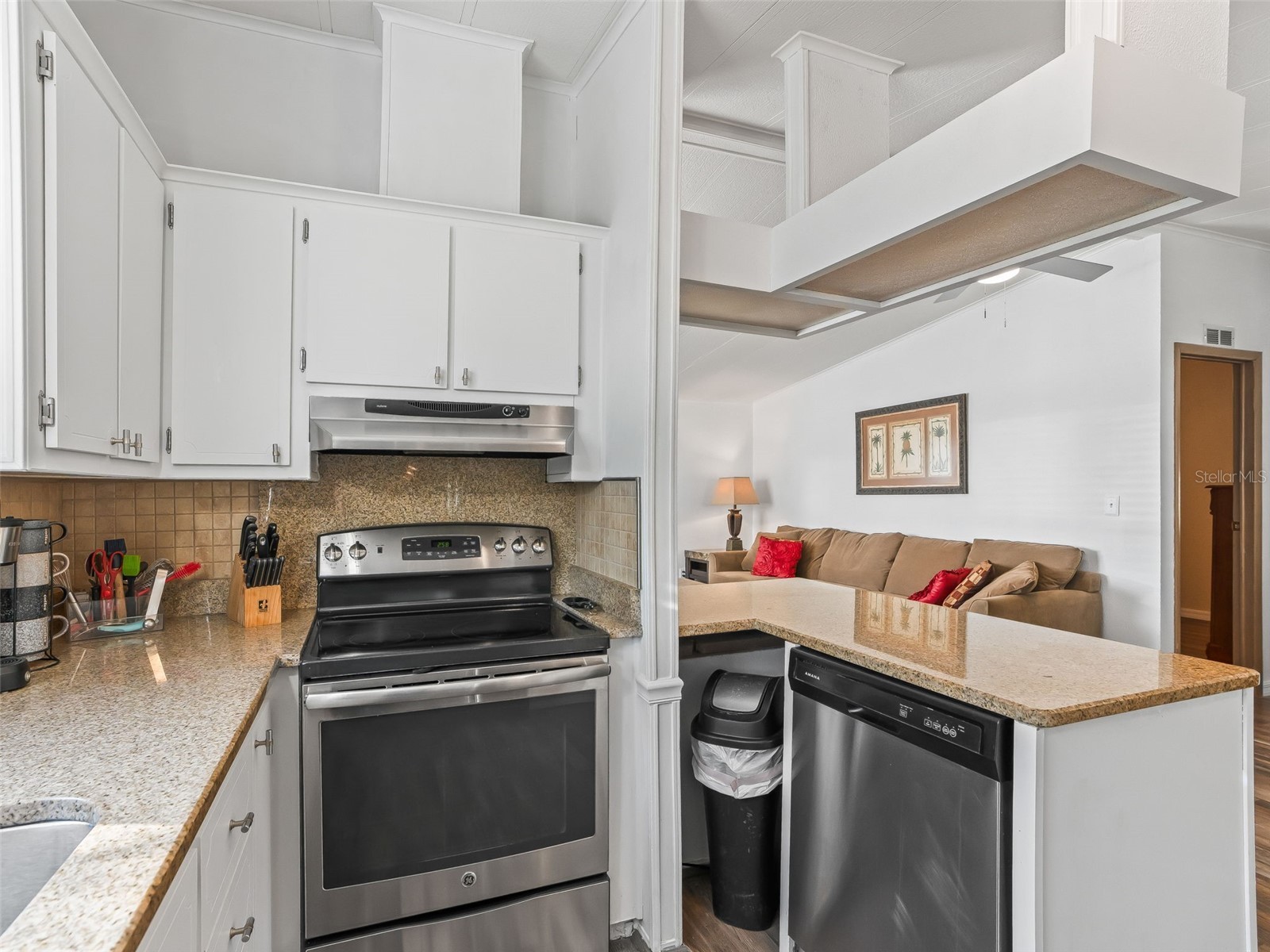 1619 W Schwartz Boulevard The Villages FL 32159 G5102602 image8