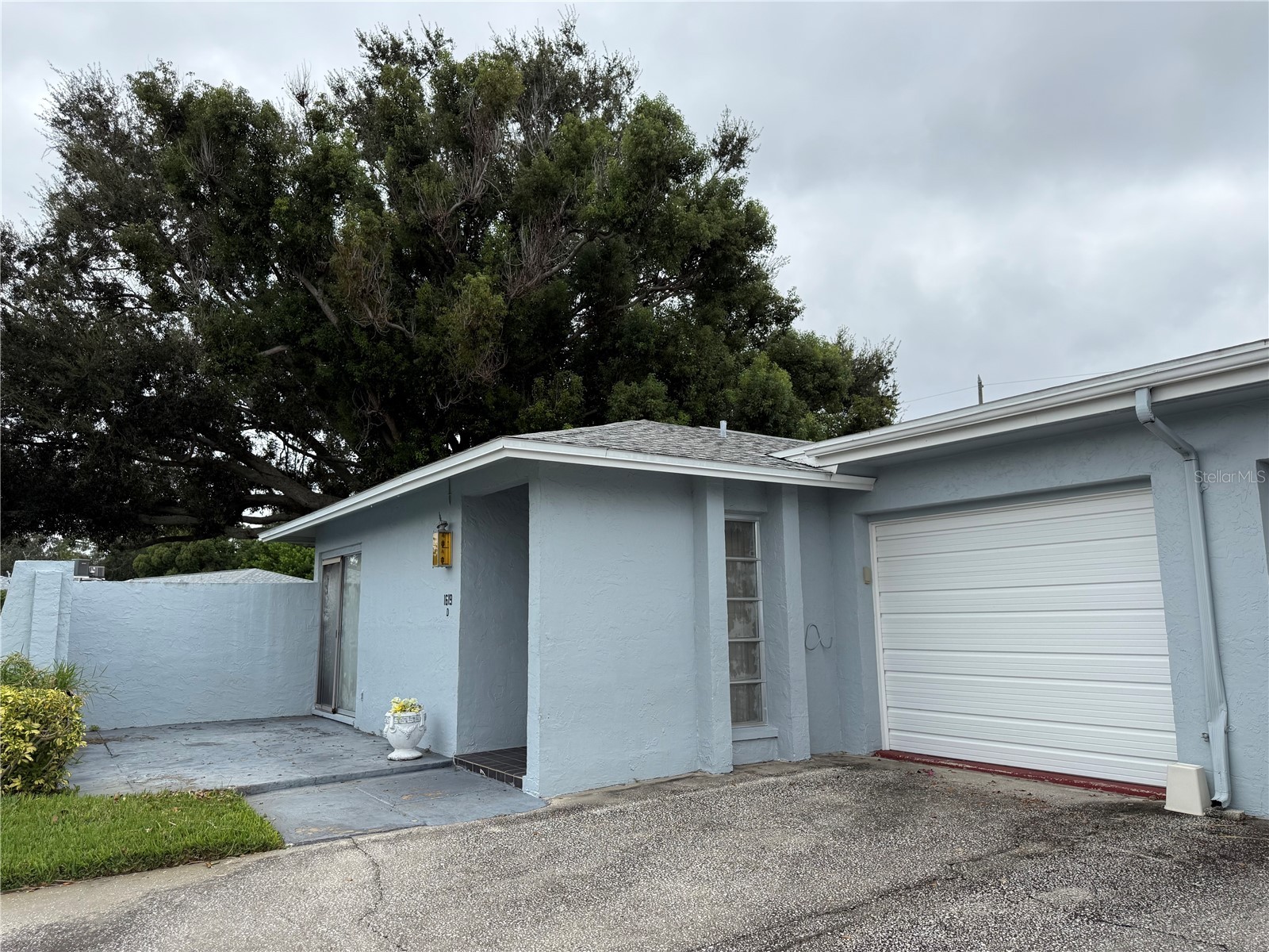 1619 Whithorn Place #D Palm Harbor FL 34684 TB8433122 image1