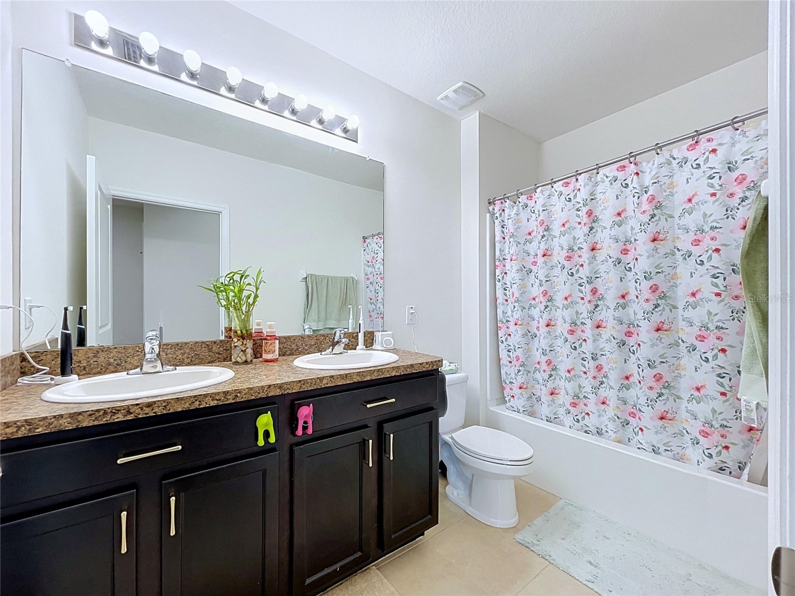 16192 Silent Sands Lane Odessa FL 33556 O6427831 image53