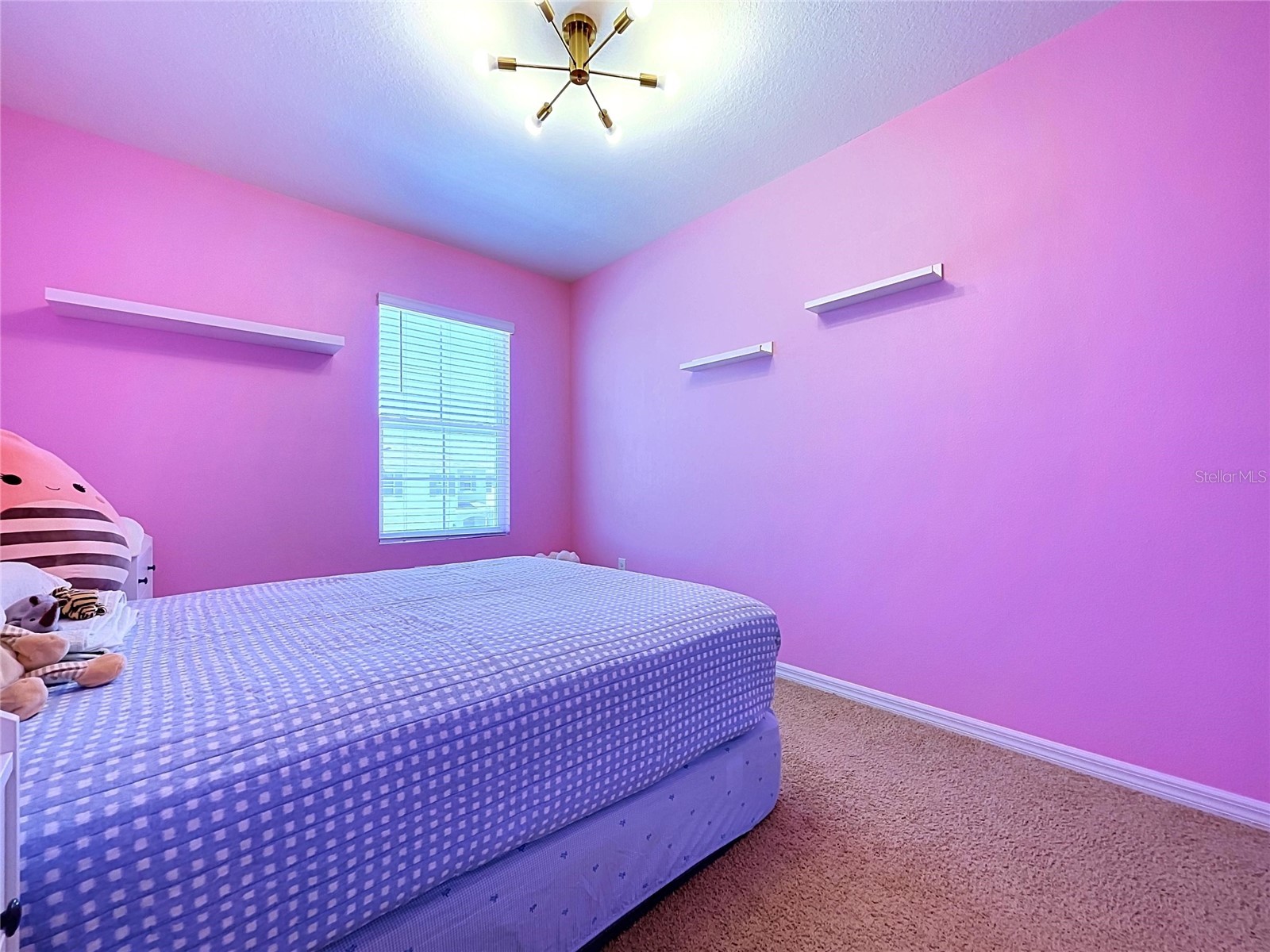 16192 Silent Sands Lane Odessa FL 33556 O6427831 image57