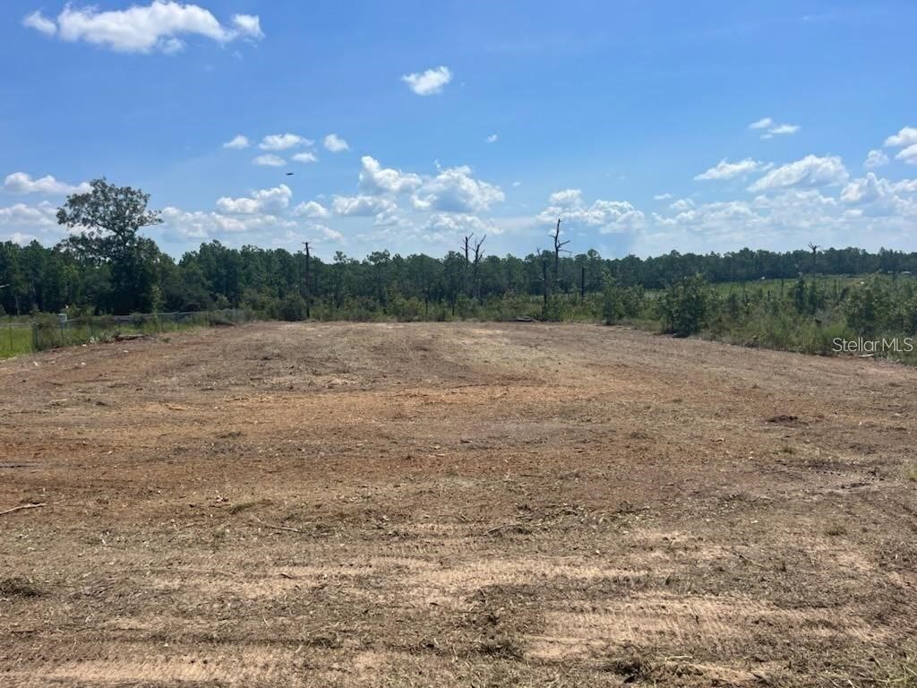 16194 Field Lark Road Weeki Wachee FL 34614 T3463873 image1