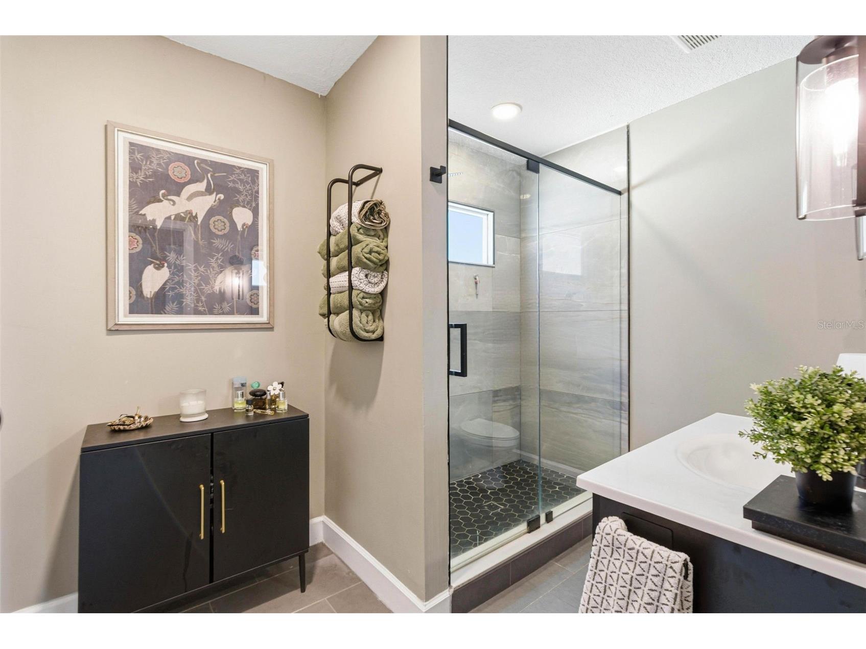 162 41st Avenue NE Saint Petersburg FL 33703 TB8470364 image14