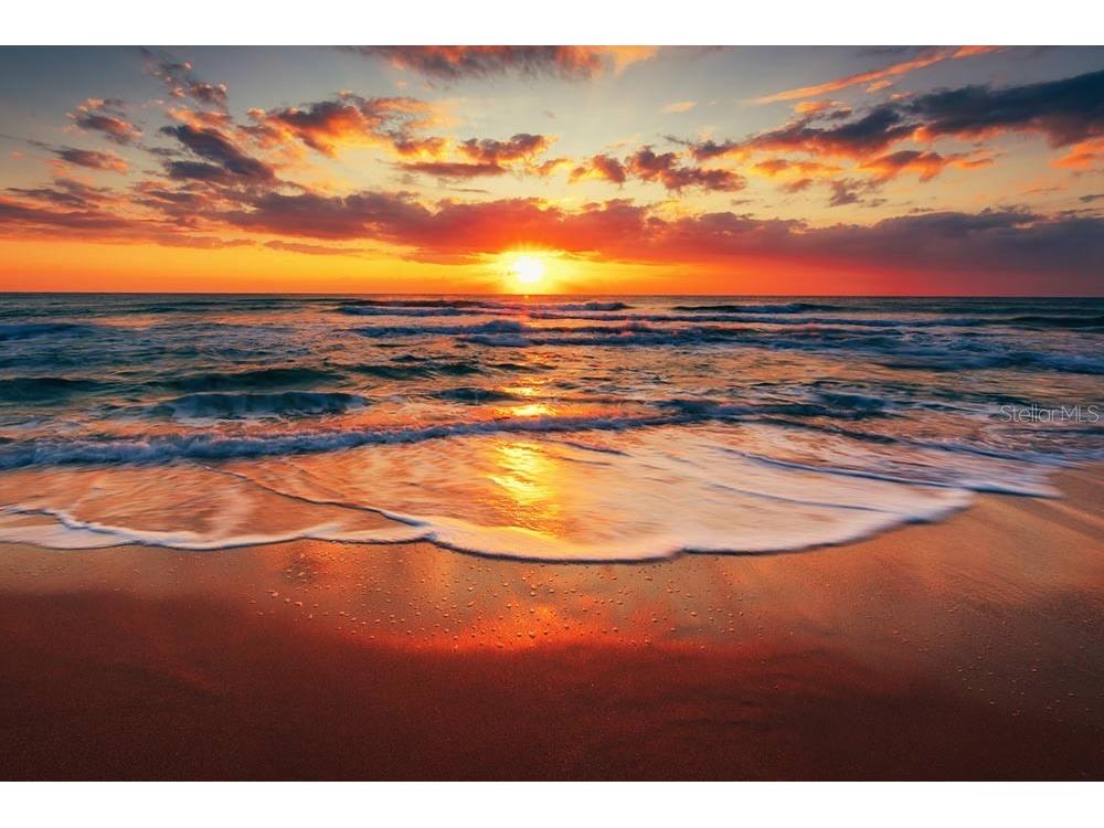 162 Emerson Drive Sarasota FL 34236 - GULF OF MEXICO A4537333 image12