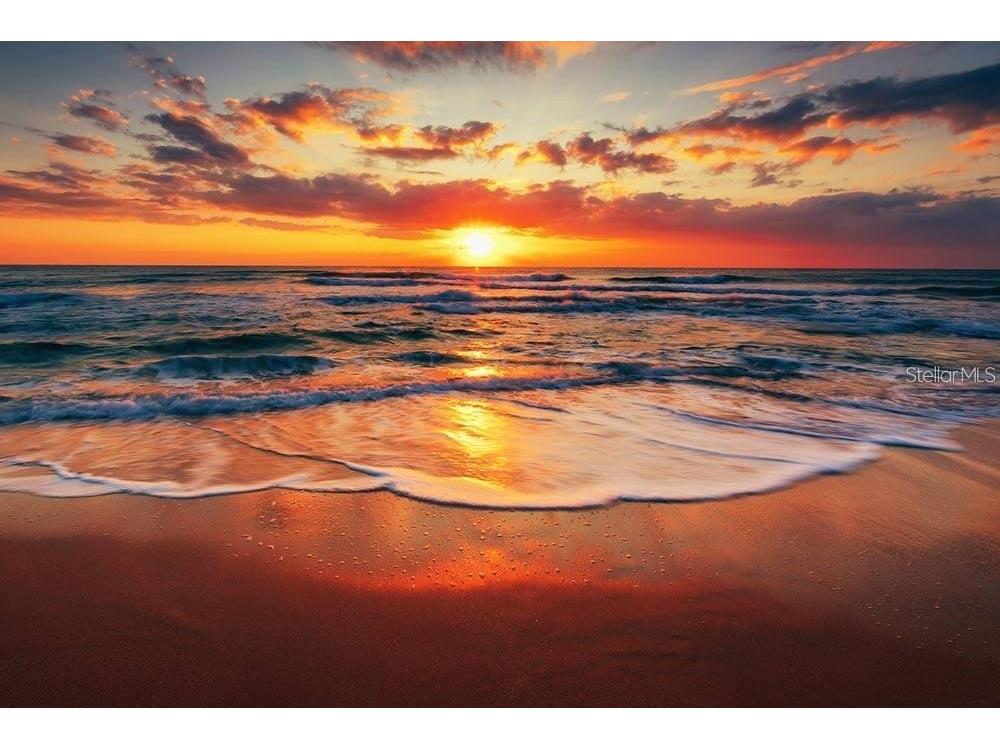 162 Emerson Drive Sarasota FL 34236 - GULF OF MEXICO A4620371 image14