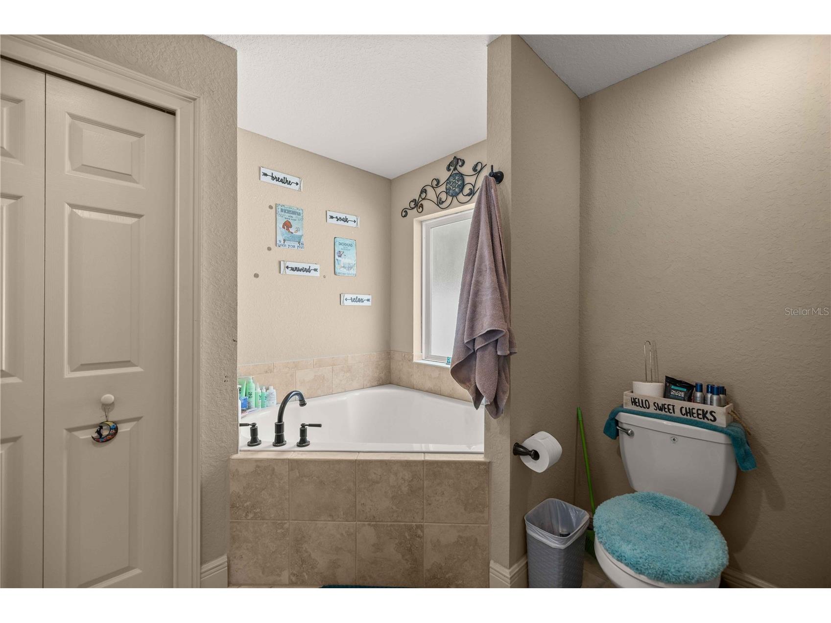 162 Guava Terrace Ocklawaha FL 32179 OM727468 image12