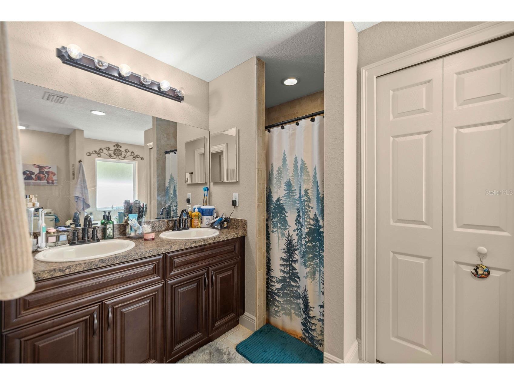 162 Guava Terrace Ocklawaha FL 32179 OM727468 image13