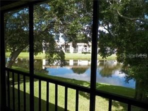 162 Lakeside Drive #162 Oldsmar FL 34677 U8154636 image1