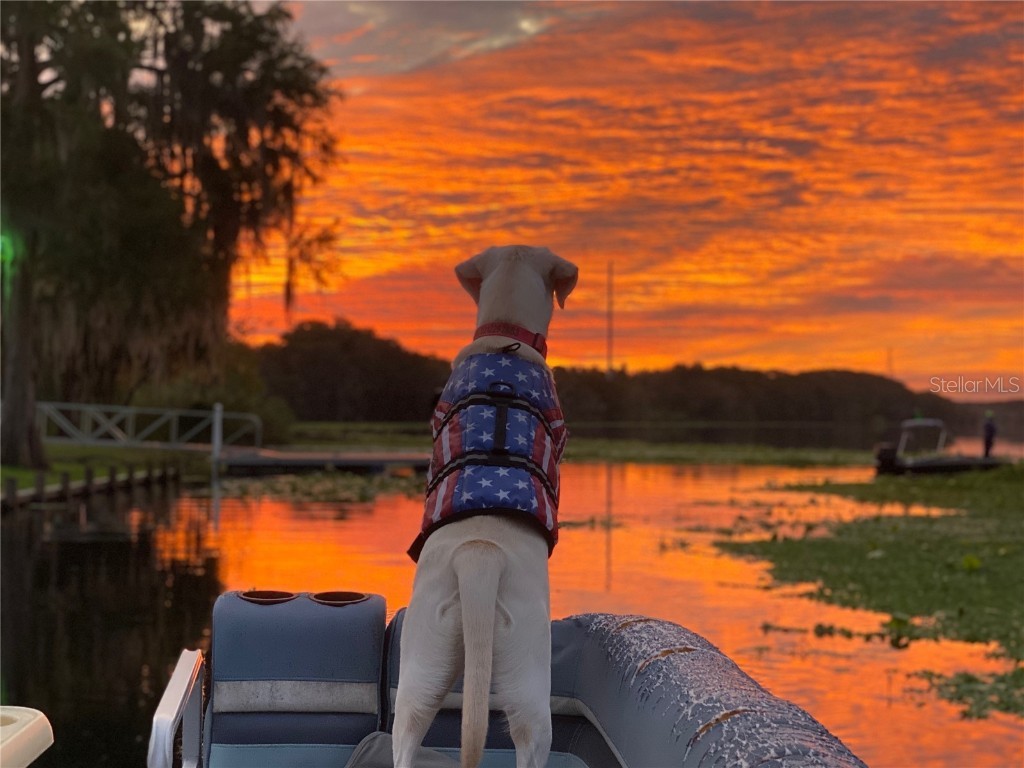 162 Leisure World Drive N Debary FL 32713 - ST JOHNS RIVER O6313415 image19