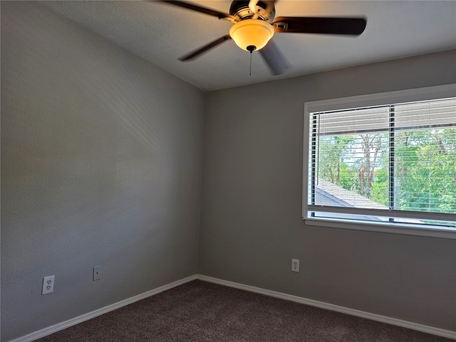 162 Olive Tree Circle Altamonte Springs FL 32714 O6404499 image31