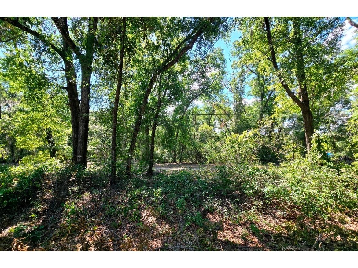 162 Putnam Loop Road Melrose FL 32666 V4942997 image1