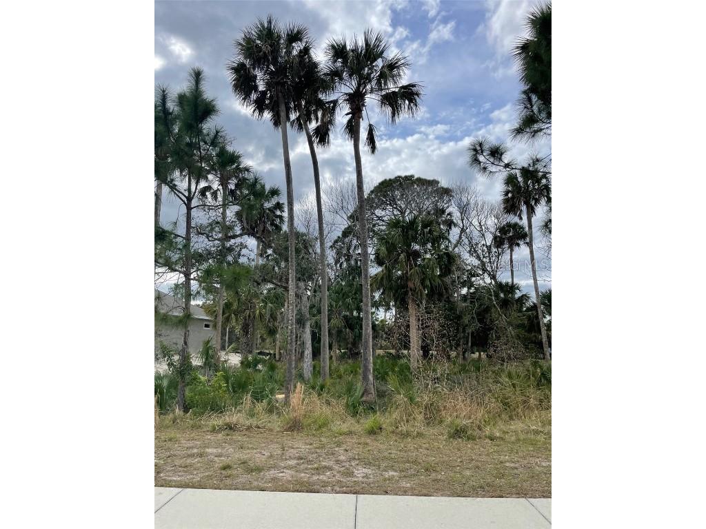 162 S Riverwalk Drive Palm Coast FL 32137 FC298128 image1
