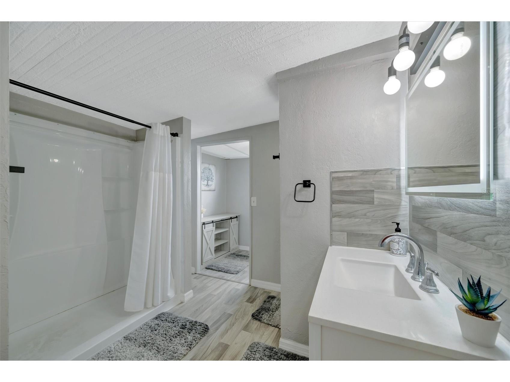162 S Saint Thomas Circle Apollo Beach FL 33572 TB8505246 image16