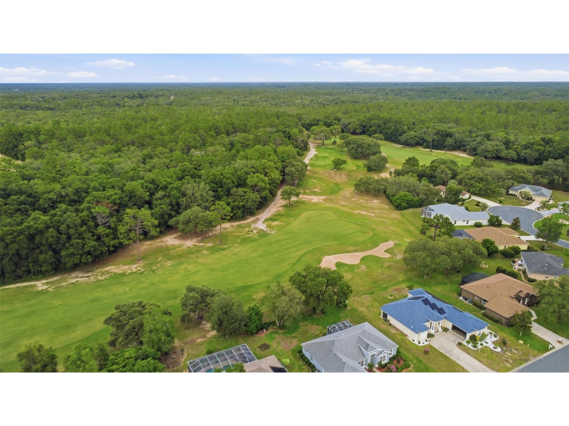162 W Romany Loop Beverly Hills FL 34465 O6414809 image16