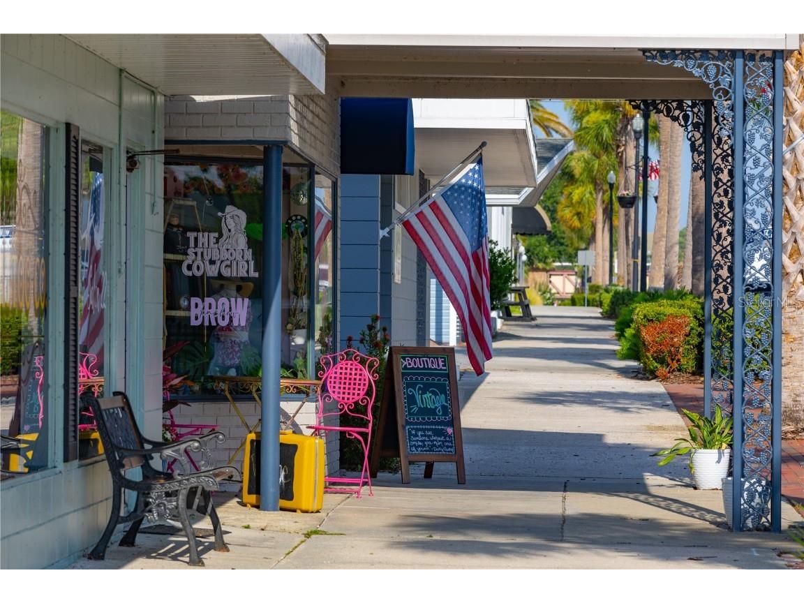 1620 Bellagio Loop Tavares FL 32778 - LAKE HARRIS W7880643 image80