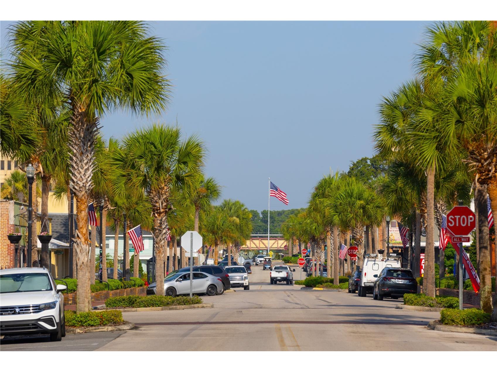 1620 Bellagio Loop Tavares FL 32778 - LAKE HARRIS W7887478 image31