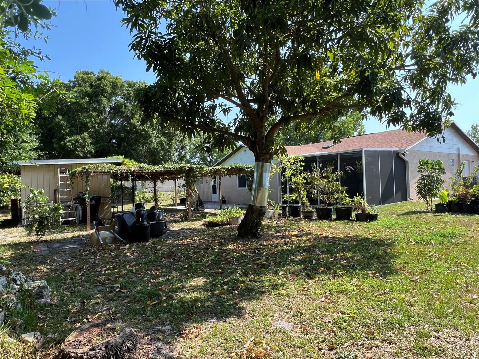 1620 Foxbower Road Orlando FL 32825 O6396194 image19